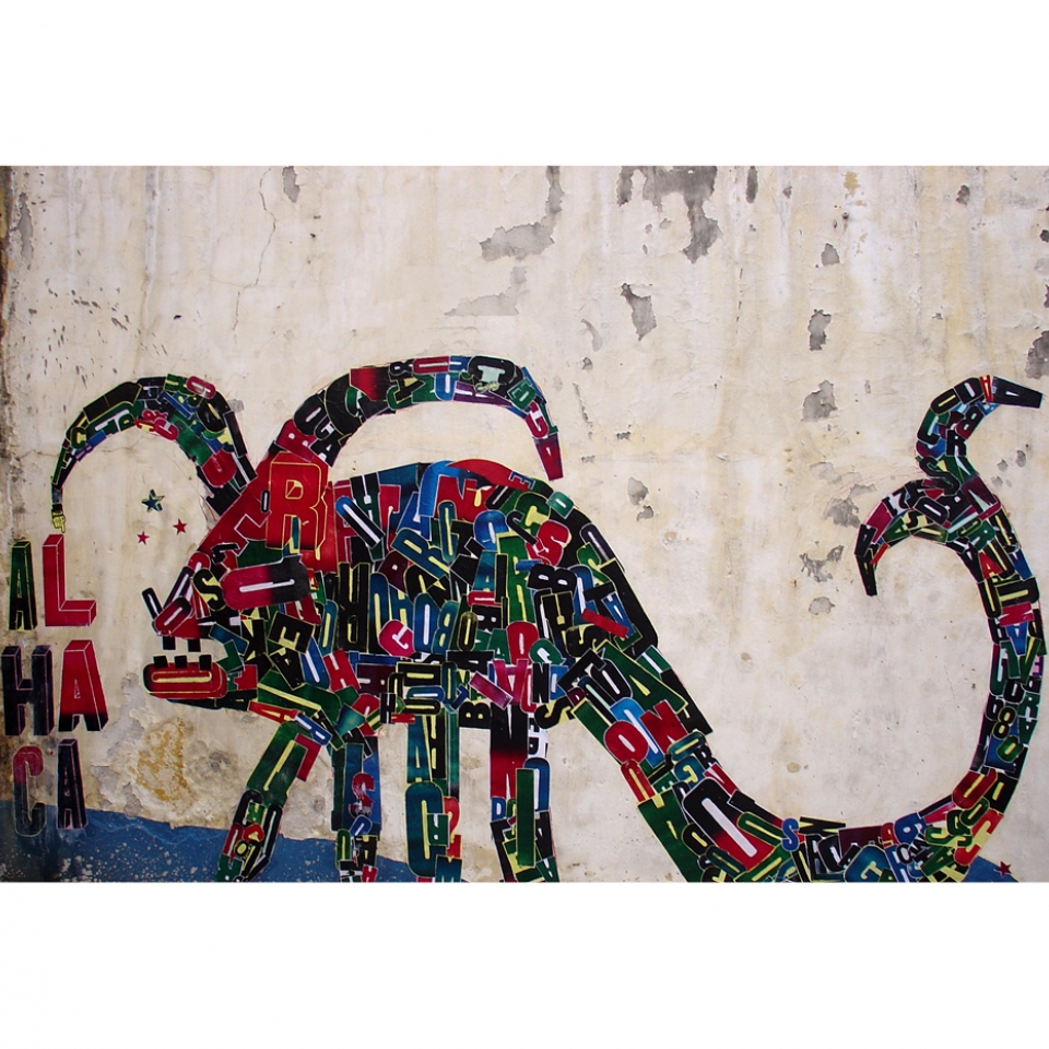 Os monstros das obras de Fefê Talavera são metáforas de emoções fortes do subconsciente humano. É por meio dos animais fantásticos e coloridos que ela se conecta com seu interior