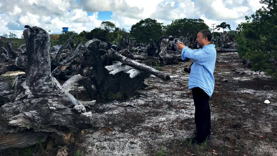As raízes descobertas em Trancoso foram trabalhadas pelo artista junto a carpinteiros chineses e brasileiros