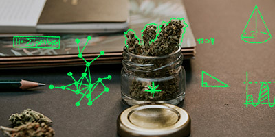 Sobre maconha, ciência e preconceito