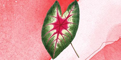 Ciclos desregulados: como está sua menstruação na pandemia?